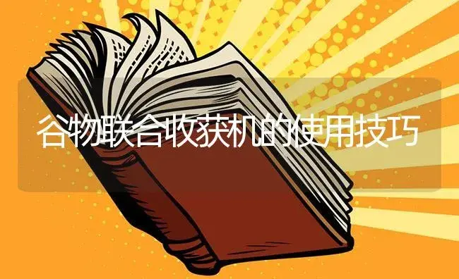 谷物联合收获机的使用技巧 | 农资农机