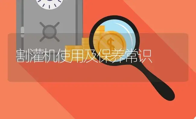 割灌机使用及保养常识 | 农资农机