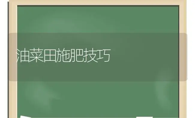 油菜田施肥技巧 | 植物肥料