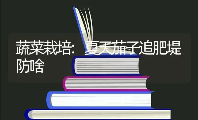 临盆无公害生菜的手艺对策 | 蔬菜种植