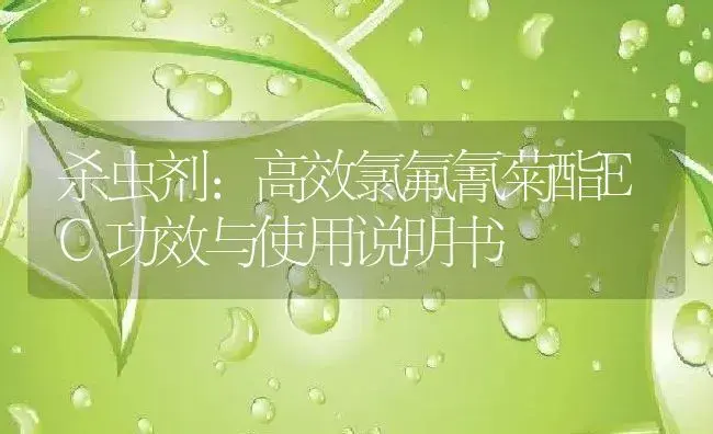 杀虫剂：高效氯氟氰菊酯EC | 适用防治对象及农作物使用方法说明书 | 植物农药