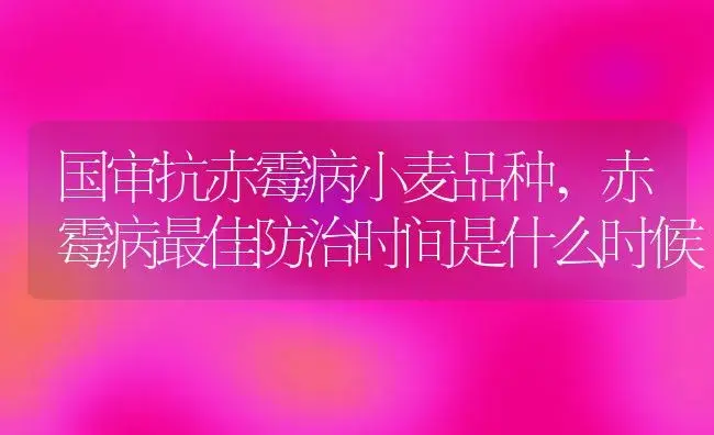 国审抗赤霉病小麦品种,赤霉病最佳防治时间是什么时候 | 植物病虫害