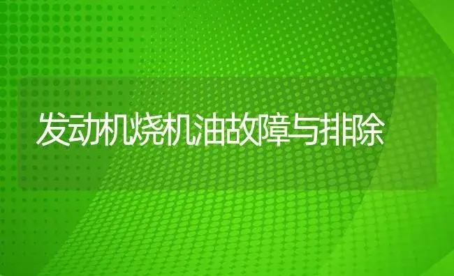 发动机烧机油故障与排除 | 农资农机