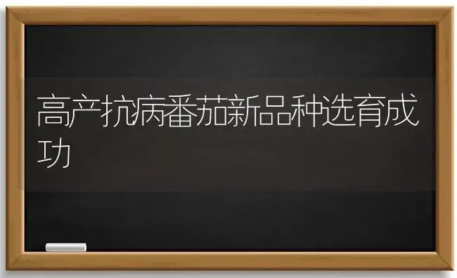 高产抗病番茄新品种选育成功 | 植物病虫害