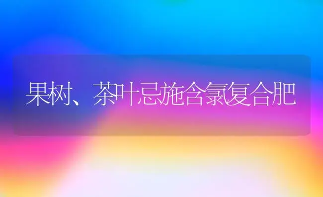 果树、茶叶忌施含氯复合肥 | 植物肥料