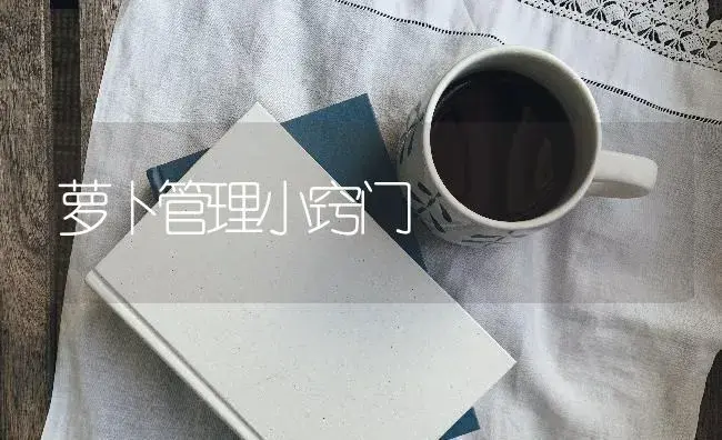 萝卜管理小窍门 | 蔬菜种植