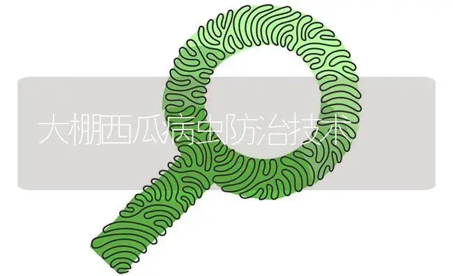 大棚西瓜病虫防治技术 | 植物病虫害