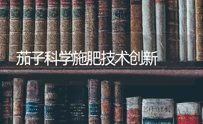 茄子科学施肥技术创新 | 蔬菜种植