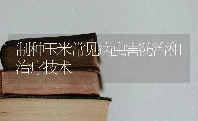 制种玉米常见病虫害防治和治疗技术 | 蔬菜种植