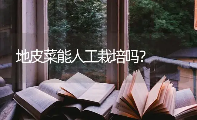 地皮菜能人工栽培吗？ | 蔬菜种植