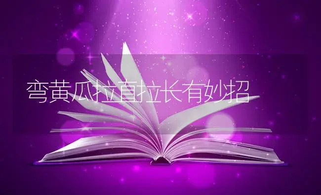 甜瓜大斑病怎么办？甜瓜大斑病的防治和治疗措施 | 蔬菜种植