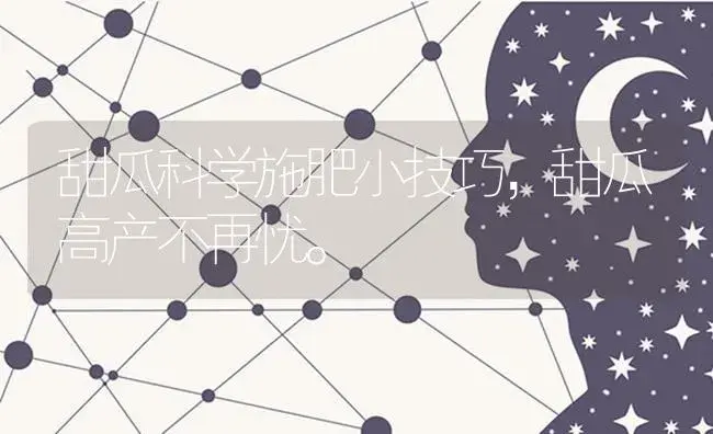 甜瓜科学施肥小技巧，甜瓜高产不再忧。 | 蔬菜种植