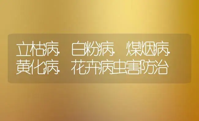 立枯病.白粉病.煤烟病.黄化病.花卉病虫害防治 | 植物病虫害