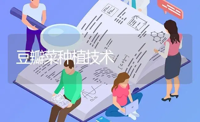 甘蓝养份失调怎么办 | 蔬菜种植