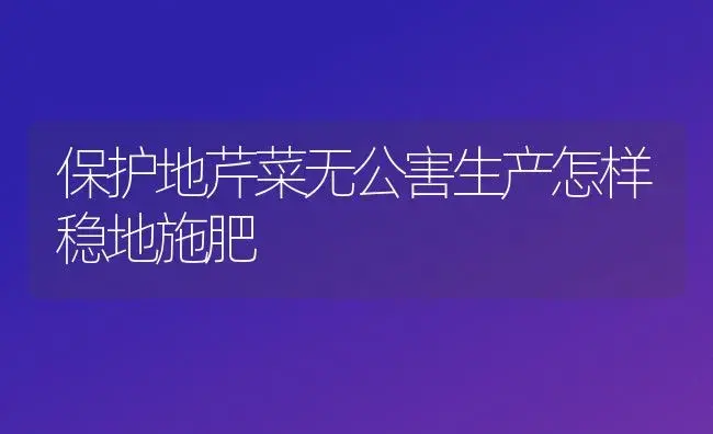 保护地芹菜无公害生产怎样稳地施肥 | 植物肥料