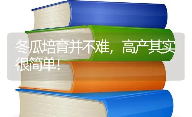 冬瓜培育并不难，高产其实很简单！ | 蔬菜种植