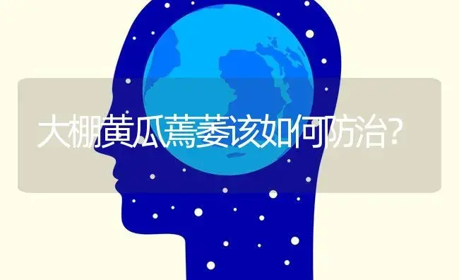 大棚黄瓜蔫萎该如何防治？ | 蔬菜种植