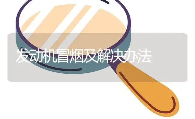 发动机冒烟及解决办法 | 农资农机