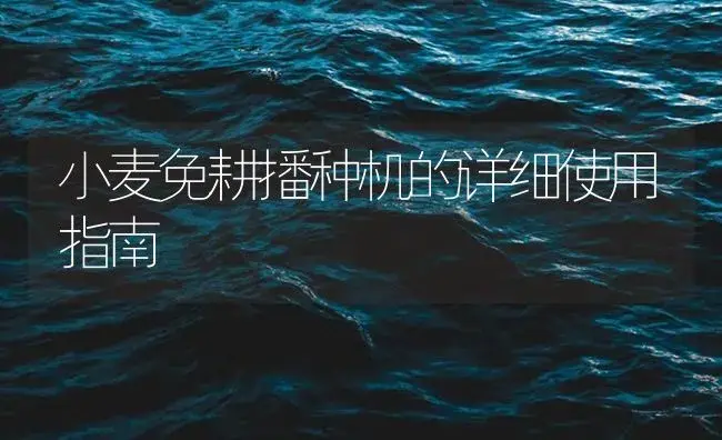 小麦免耕播种机的详细使用指南 | 农资农机