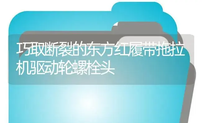 巧取断裂的东方红履带拖拉机驱动轮螺栓头 | 农资农机