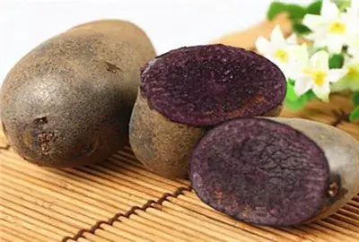 紫色马铃薯（紫土豆）几月能种？哪些地方适合种植紫土豆？怎么种才产量高？