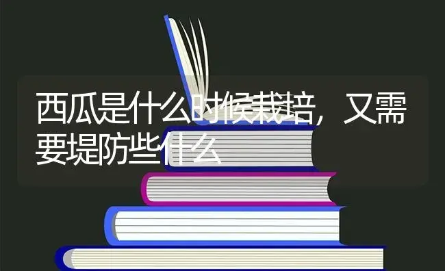 西瓜是什么时候栽培，又需要堤防些什么 | 蔬菜种植