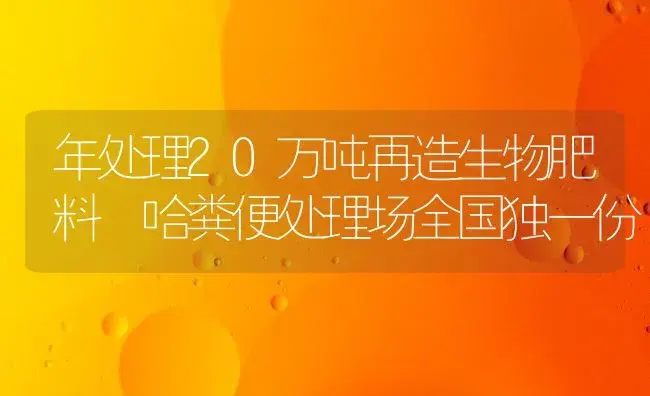 年处理20万吨再造生物肥料 哈粪便处理场全国独一份 | 植物肥料