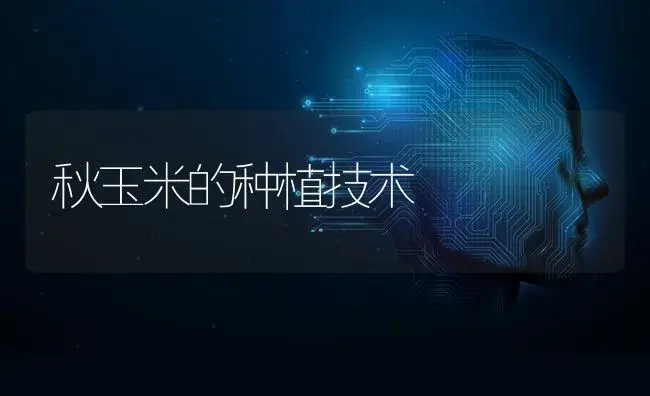 防治黄瓜灰霉病的主要方法有哪些 | 蔬菜种植