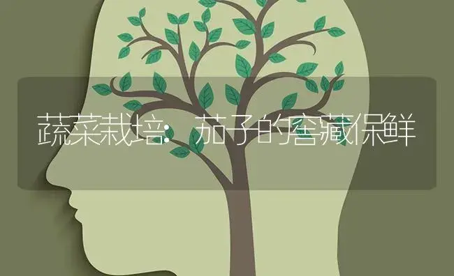 蔬菜栽培:茄子的窖藏保鲜 | 蔬菜种植