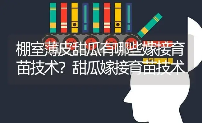 棚室薄皮甜瓜有哪些嫁接育苗技术？甜瓜嫁接育苗技术 | 蔬菜种植