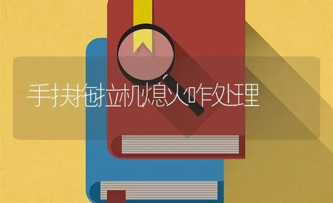 手扶拖拉机熄火咋处理 | 农资农机