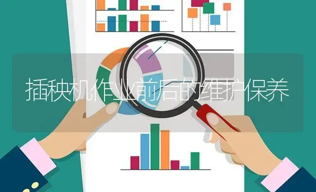 插秧机作业前后的维护保养 | 农资农机