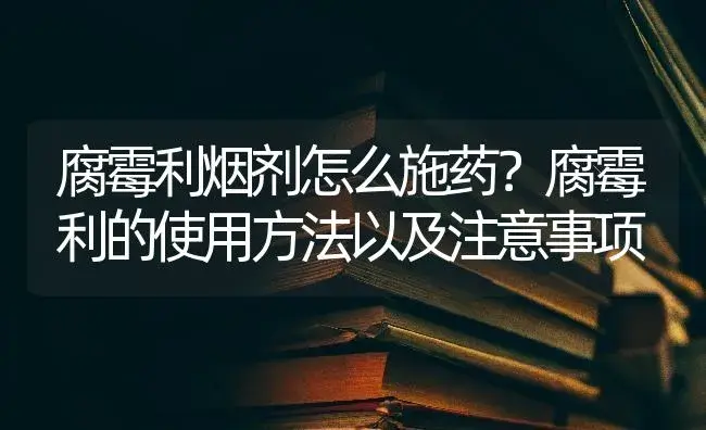 腐霉利烟剂怎么施药？腐霉利的使用方法以及注意事项 | 蔬菜种植