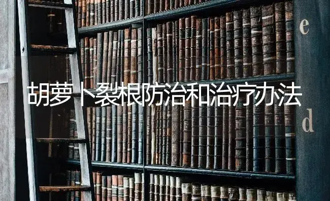 胡萝卜裂根防治和治疗办法 | 蔬菜种植