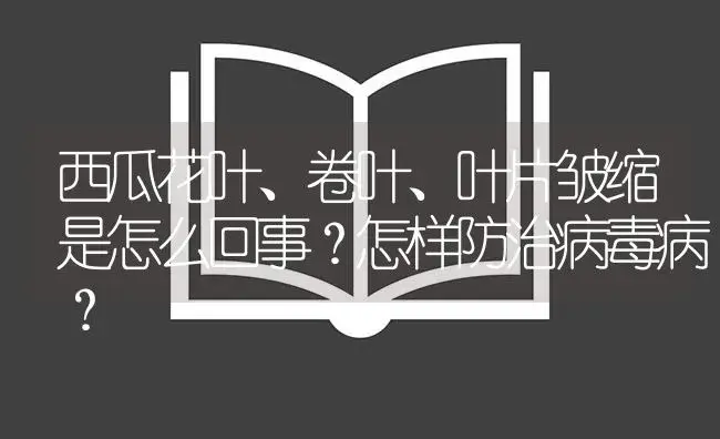 西瓜花叶、卷叶、叶片皱缩是怎么回事？怎样防治病毒病？ | 植物病虫害