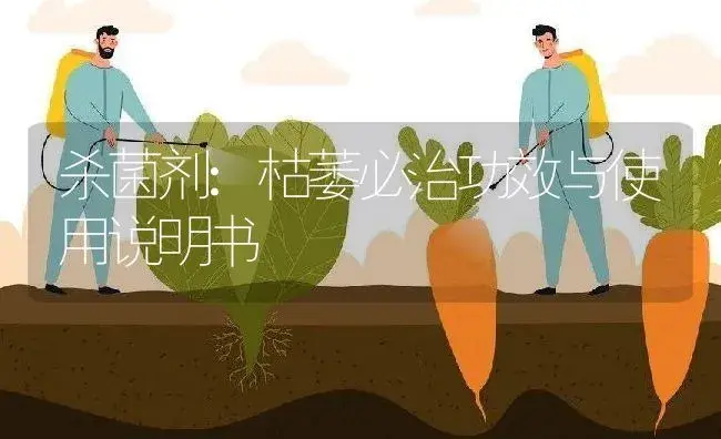 杀菌剂：20%乙草胺可湿性粉剂 | 适用防治对象及农作物使用方法说明书 | 植物农药