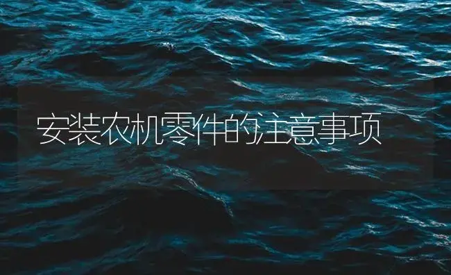 安装农机零件的注意事项 | 农资农机