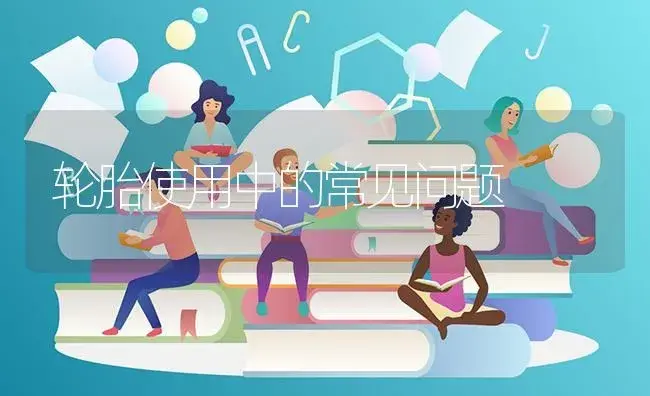 轮胎使用中的常见问题 | 农资农机