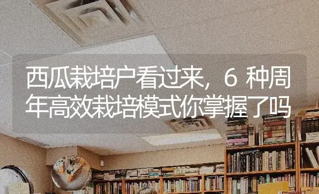 西瓜栽培户看过来，6种周年高效栽培模式你掌握了吗 | 蔬菜种植