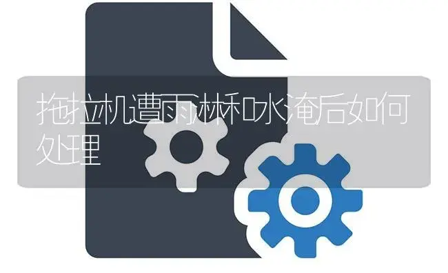拖拉机遭雨淋和水淹后如何处理 | 农资农机