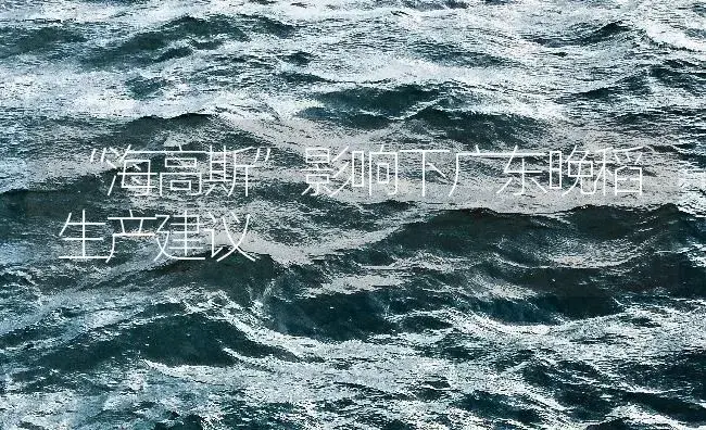 “海高斯”影响下广东晚稻生产建议 | 植物病虫害