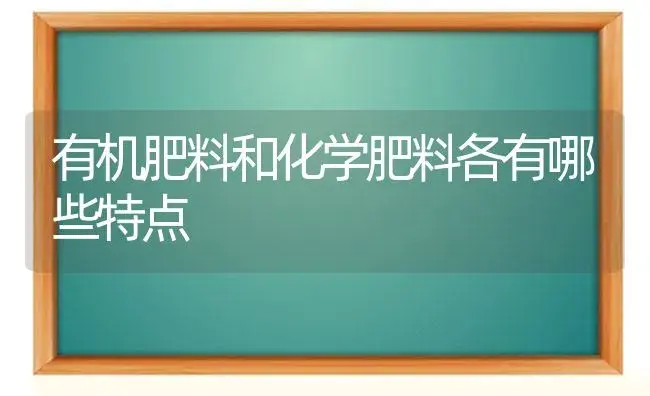 有机肥料和化学肥料各有哪些特点 | 植物肥料