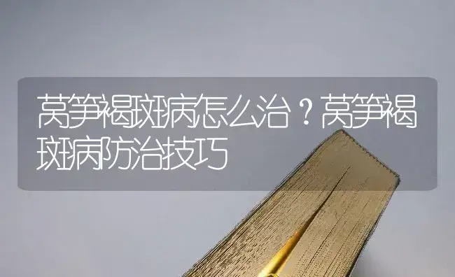 莴笋褐斑病怎么治？莴笋褐斑病防治技巧 | 蔬菜种植