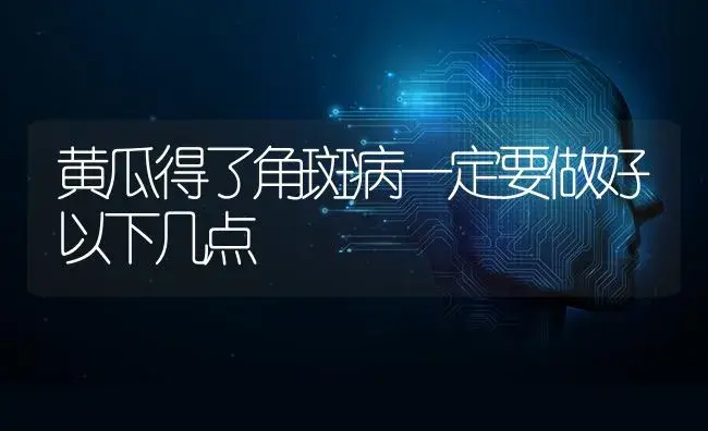 黄瓜得了角斑病一定要做好以下几点 | 蔬菜种植