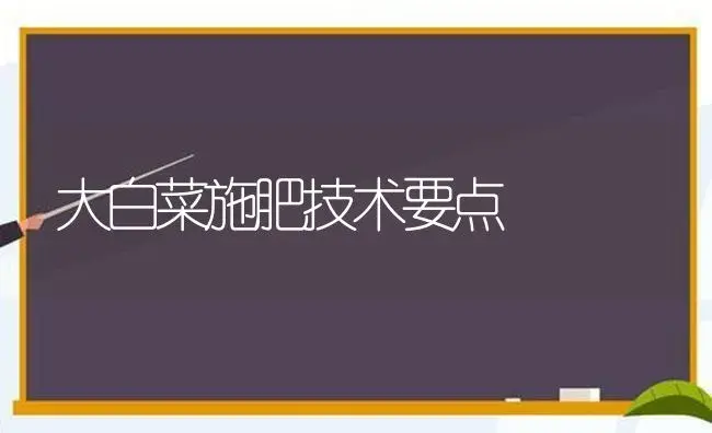 大白菜施肥技术要点 | 植物肥料