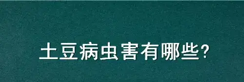 土豆病虫害有哪些