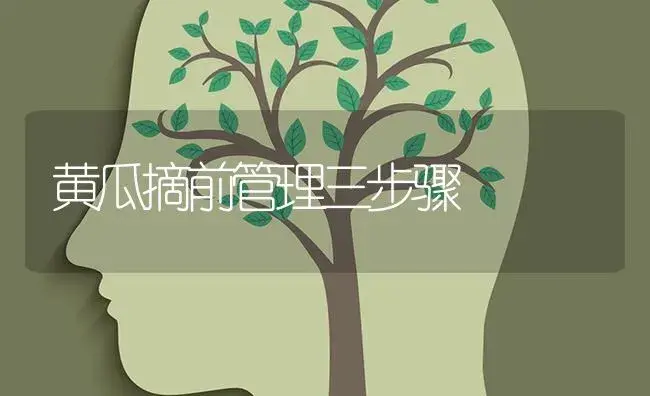 黄瓜摘前管理三步骤 | 蔬菜种植