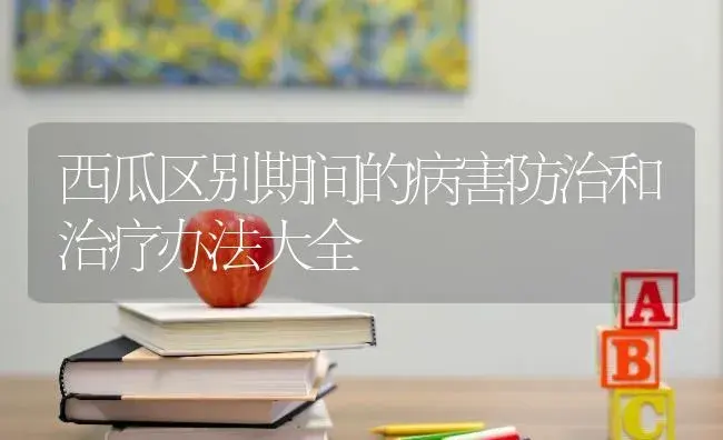 西瓜区别期间的病害防治和治疗办法大全 | 蔬菜种植