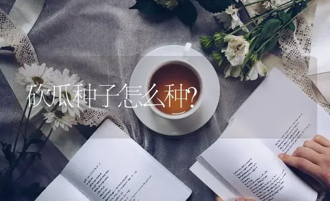 砍瓜种子怎么种？ | 蔬菜种植