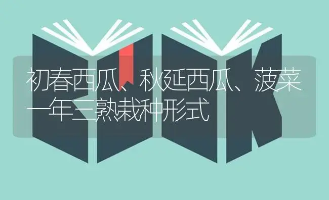 初春西瓜、秋延西瓜、菠菜一年三熟栽种形式 | 蔬菜种植